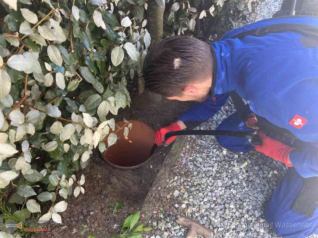 Rioolvliegjes Wassenaar Rioolvliegjes Wassenaar